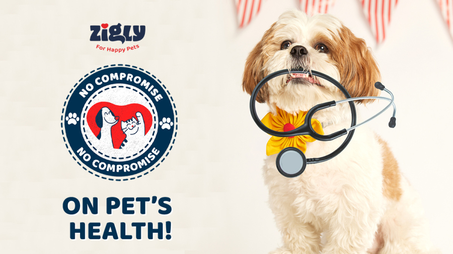 Pet care brand Zigly encourages #NoCompromise on quality healthcare experiences for pets | EquityBulls Pet care brand Zigly encourages #NoCompromise on quality healthcare experiences for pets | EquityBulls
